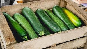 Zucchini
