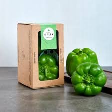 Capsicum