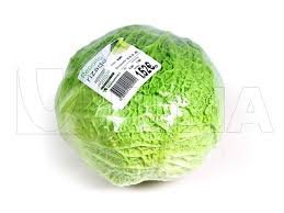 Cabbage