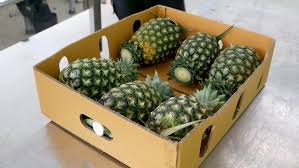 Pineapple