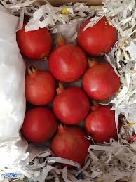 Pomegranate